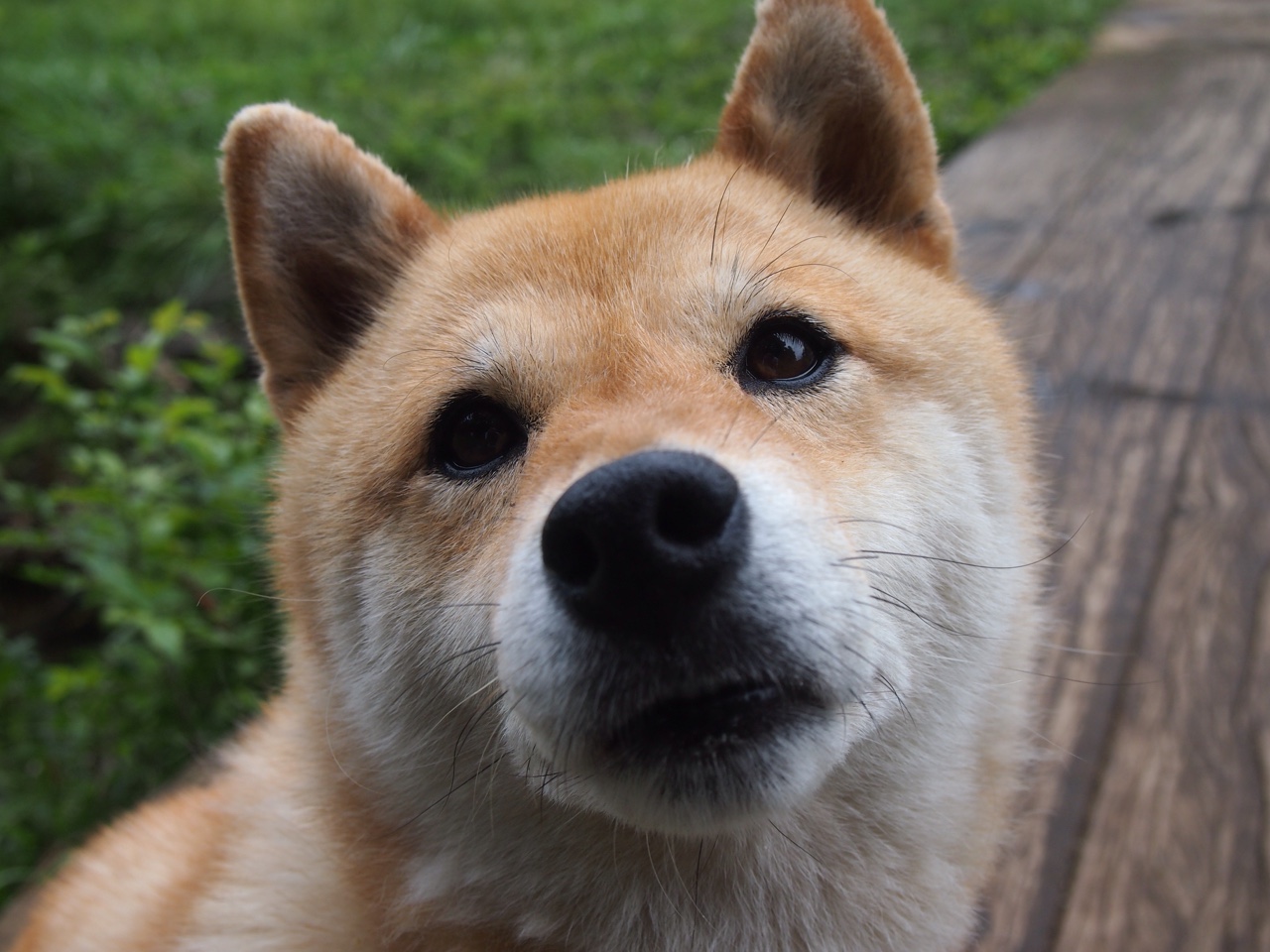 体育新闻中心推出国际体育传播品牌计划,国内体育品牌应该如何展开宣传