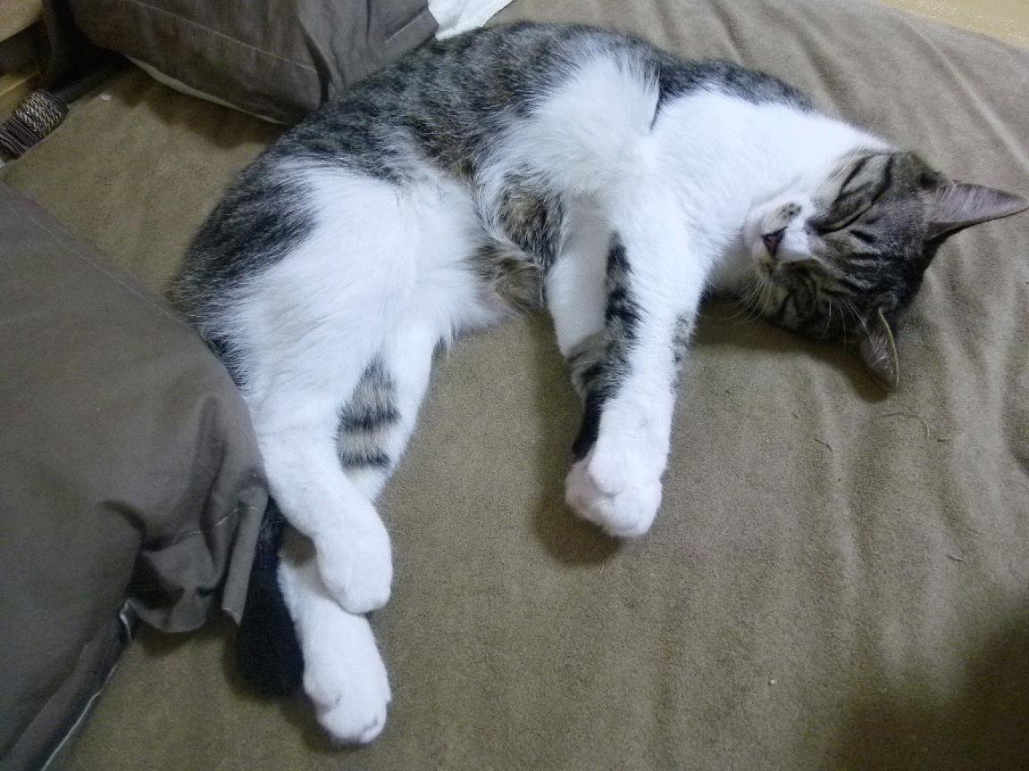 开云体育官方-新赛制上路，淘汰赛难度再提升，淘汰赛阶段