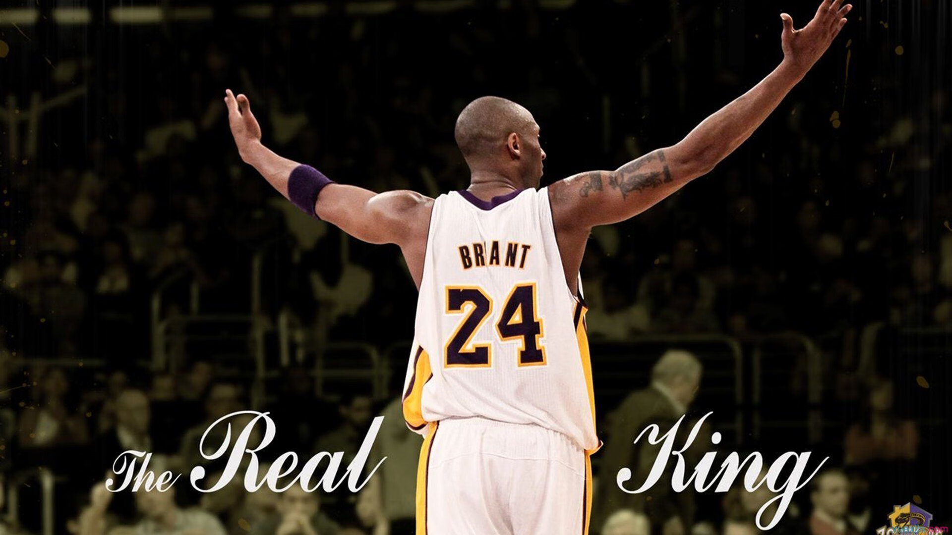 争夺冲击季后赛门票的紧张时刻！，冲击总决赛